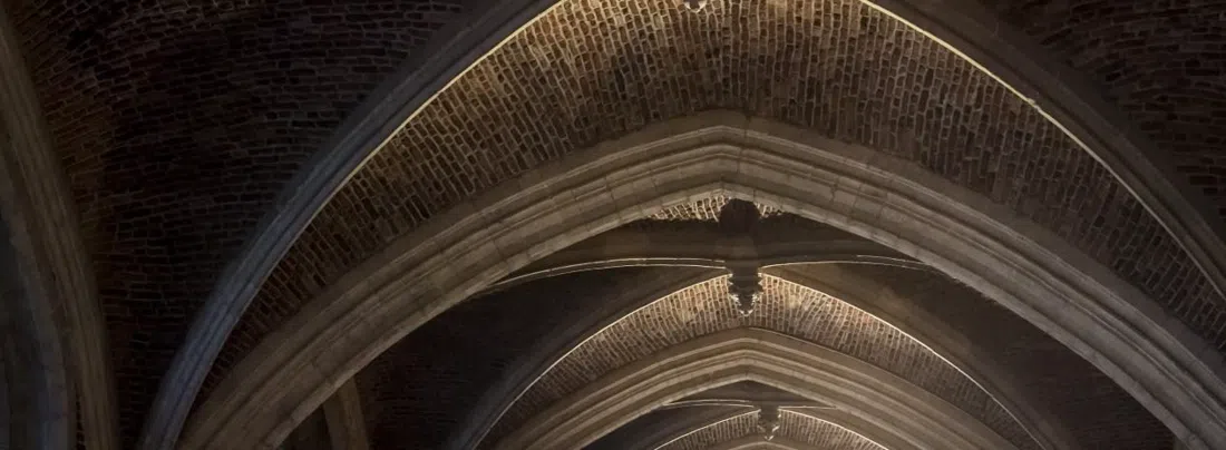 Cathedral of Our Lady — belfry tower climb (booked via Museum Vleeshuis), Antwerp