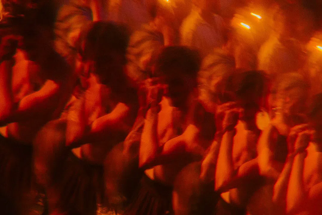 Traum Club, Antwerp