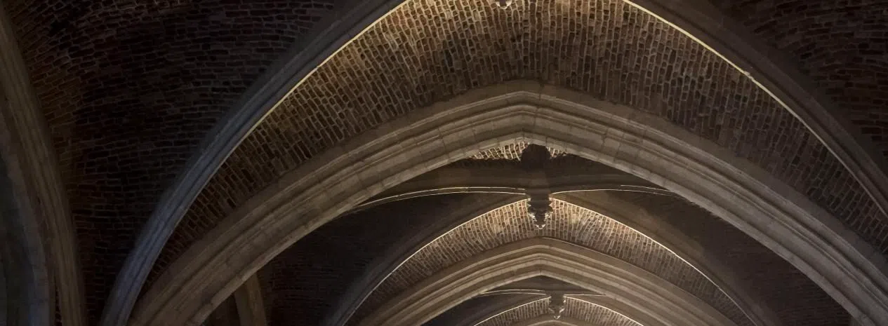 Cathedral of Our Lady — belfry tower climb (booked via Museum Vleeshuis), Antwerp